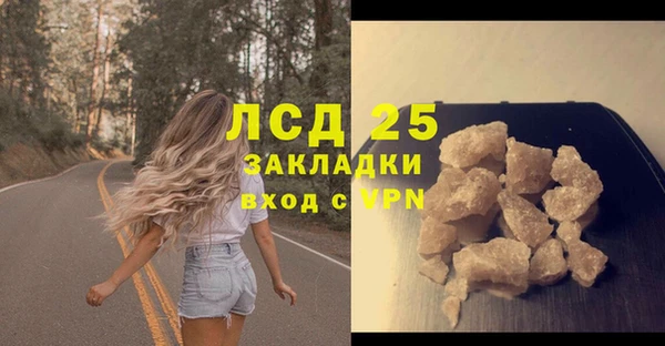 гидра Алексин