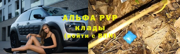 ПСИЛОЦИБИНОВЫЕ ГРИБЫ Армянск
