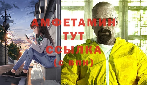 ГАЛЛЮЦИНОГЕННЫЕ ГРИБЫ Алзамай