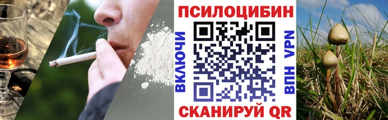 Псилоцибиновые грибы Psilocybe  Белая Калитва 