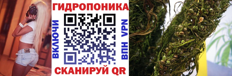 Бошки марихуана конопля  цена   Белая Калитва 